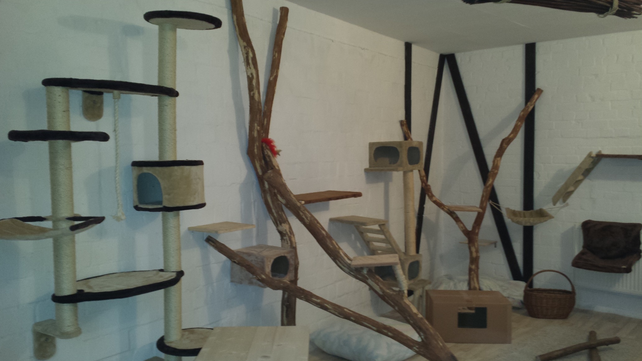 Eindrücke Tierpension Müggelheim