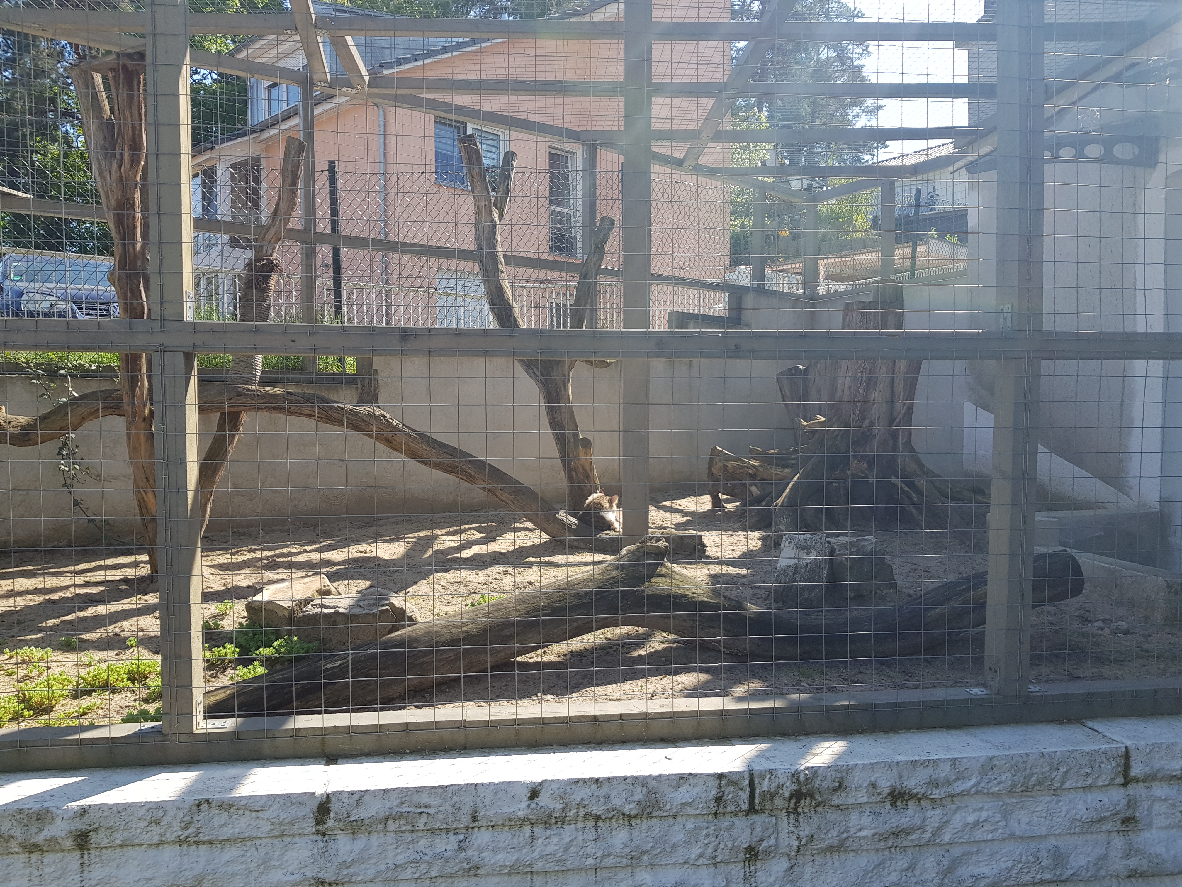 Außengehege Neu 2016